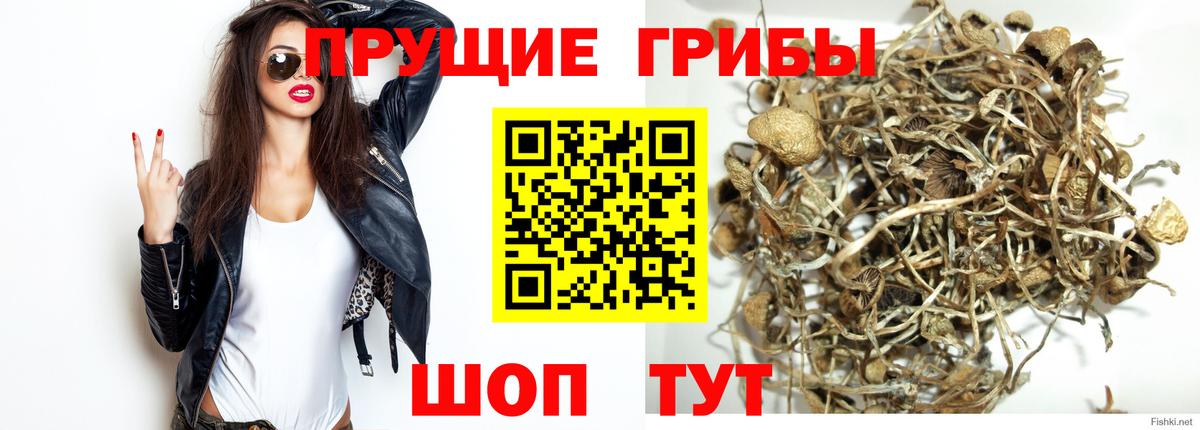 Псилоцибиновые грибы ЛСД Чайковский