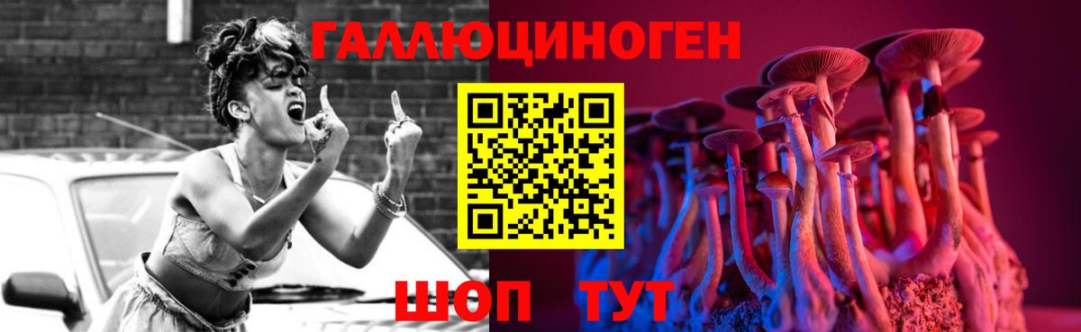 Псилоцибиновые грибы Psilocybe  Вход с VPN  Чайковский 